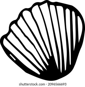 Hand drawn sea shell vector illustration. 