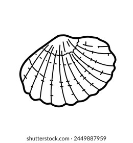 Hand drawn sea shell vector illustration in doodle style isolated on white background. Marine underwater design element. Summer sea clipart.