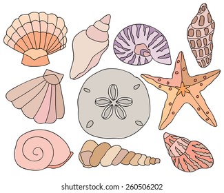Hand Drawn Sea Shells from the Beach 