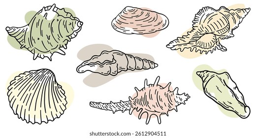 Hand drawn Sea shells freehand line art summer marine design elements collection with abstract pastel color liquid shapes. Vector illustration.