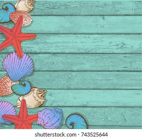 Hand drawn sea shells on a green wooden background. 