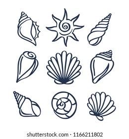 Hand drawn sea shells set. Decorative nautical design elements collection. Vector illustration.