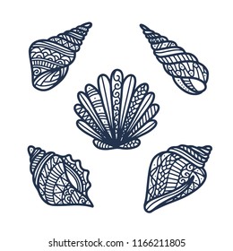 Hand drawn sea shells set. Decorative nautical design elements collection. Vector illustration.