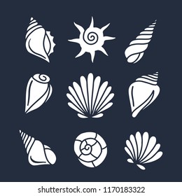 Hand drawn sea shells set. Decorative nautical design elements collection. Vector illustration.