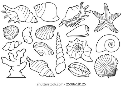 Hand drawn sea shells set with doodle style. line art sea shell background vector illustration.