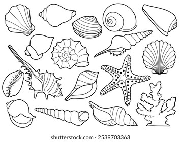 Hand drawn sea shells set with doodle style. line art sea shell background vector illustration.