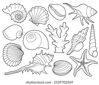 Hand drawn sea shells set with doodle style. line art sea shell background vector illustration.