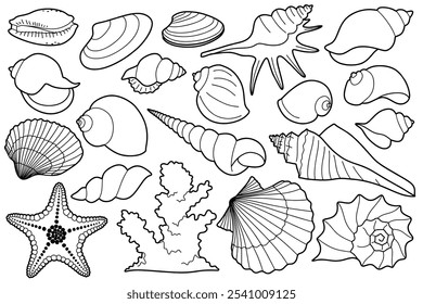 Hand drawn sea shells set with doodle style. line art sea shell background vector illustration.