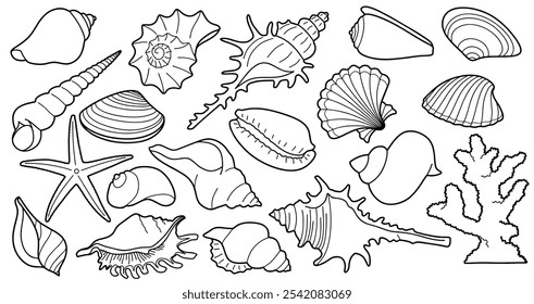 Hand drawn sea shells set with doodle style. line art sea shell background vector illustration.