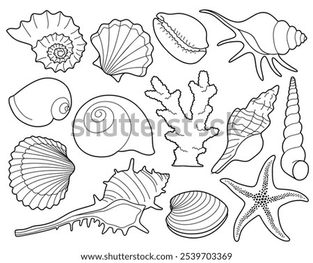 Hand drawn sea shells set with doodle style. line art sea shell background vector illustration.