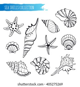 Hand drawn sea shells and stars collection. Marine illustration for coloring books. Shellfish outlines icolated on white background.