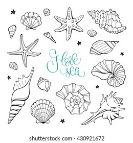 Hand drawn sea shells and stars collection. Marine illustration for coloring books. Shellfish outlines isolated on white background.