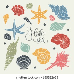 Hand Drawn Sea Shells And Stars Collection. Marine Illustration Of Ocean Shellfish. Colorful Seashells Isolated On Light Background.