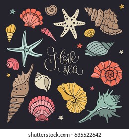 Hand drawn sea shells and stars collection. Marine illustration of ocean shellfish. Colorful seashells isolated on dark background.