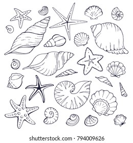 Hand drawn sea shells and stars collection. Marine illustration for coloring books. Shellfish outlines isolated on white background.