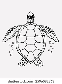 Hand Drawn Sea Turtle Doodle Illustration. Line Drawing Sea Turtle Clip art