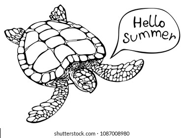 Hand drawn sea turtle on white background. Hello summer. Vector illustration. Perfect for invitation, greeting card, postcard, fashion print, banner, poster for textile, fashion design.