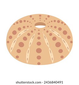 Hand drawn Sea urchin shell. Cartoon style flat illustration shell isolated on white background. Vector illustration