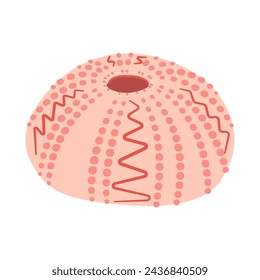 Hand drawn Sea urchin shell. Cartoon style flat illustration shell isolated on white background. Vector illustration