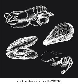 hand drawn seafood