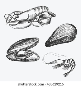 hand drawn seafood