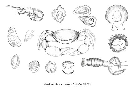 Hand drawn seafood isolated. Set - vector stock. 