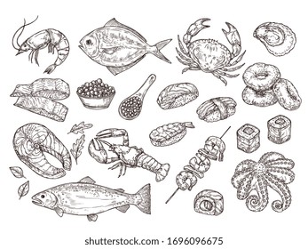 Hand drawn seafood. Natural oyster squid, caviar. Japanese meal ingredients. Isolated sketch sushi salmon, roast prawn vector illustration. Ocean and seafood, restaurant menu food collection