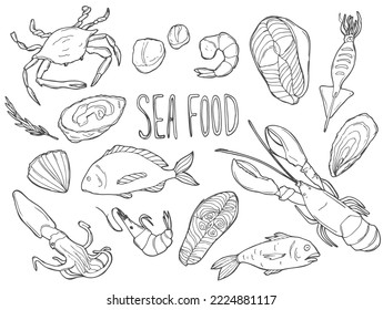Hand drawn Seafood set. Decorative icons Squid, Octopus, salmon, oysters, scallops, lobster, red perch ,crab, shellfish and mussels. Vector illustration in old ink style