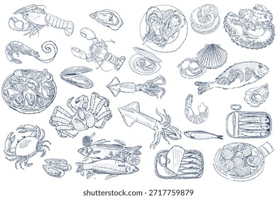 Conjunto de mariscos dibujados a mano con pescado y mariscos en arte de línea azul vintage