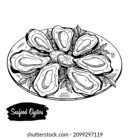 Vector de mariscos dibujado a mano Ilustración. Estilo retro detallado de un plato con imagen de ostras. Esbozo vintage para etiquetas, empaquetado y diseño de tarjetas.