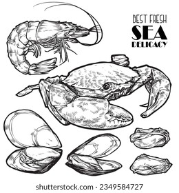 Hand drawn seafood vector illustration. Crabs, lobsters, shrimps, oysters, mussels, caviar and squid. Vintage engraved template. Fish and seafood restaurant menu, flyer, business card promotion
