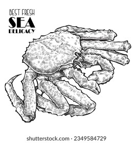 Hand drawn seafood vector illustration. Crabs, lobsters, shrimps, oysters, mussels, caviar and squid. Vintage engraved template. Fish and seafood restaurant menu, flyer, business card promotion