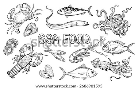 Hand drawn seafood vector illustration.  Sea bass, tuna, lobster, crab, oyster, mussel, squid and octopus. Sea food retro line art.