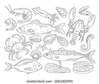 Hand drawn seafood. Vector set of line sea fishes with prawn, salmon, crab, lobster, fish fillet, oyster, mussel, caviar, octopus and squid. Engraved illustration for restaurant menu, design sea shops