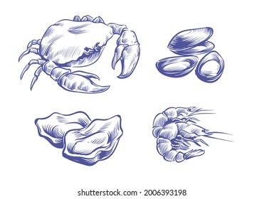 Hand drawn seafoods. Hand drawn oysters and mussels, crabs and shrimps. Shellfish natural seafood in sketch style. Delicious delicacy cooking ingredient vector isolated on white background set