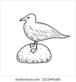 Gaivota desenhada à mão sentada em uma pedra, coleção de mar, ilustração vetorial