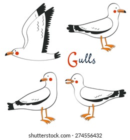 Hand drawn seagulls collection.