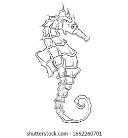 Hand drawn seahorse. line drawing for coloring book. Doodle art. sketch seahorse 1