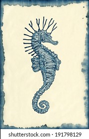 hand drawn seahorse on ink stained paper vintage engraving style