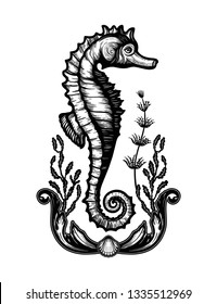 Hand drawn seahorse with sea plants. Vintage vector illustration.