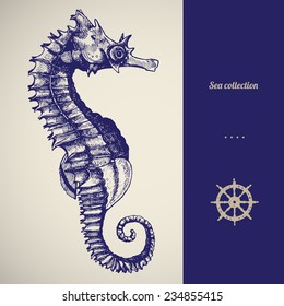 Hand drawn seahorse. Vector illustration. Sea collection.