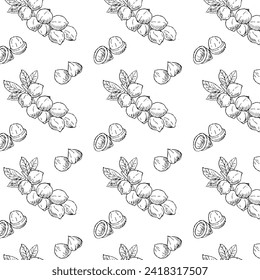 Hand drawn seamless background of Macadamia nut branch. Vector illustration outline. Can used for food or cosmetic background. 