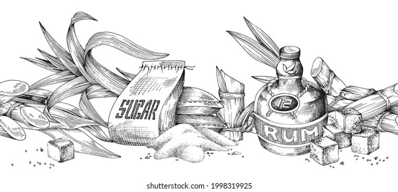 Hand drawn seamless background with sugarcane plants, engraving vector illustration isolated on white background. Endless border with cane sugar and bottle of rum.