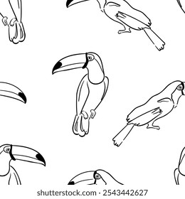 Desenhado à mão, preto e branco, sem emenda Toucan padrão Vetor Ilustração