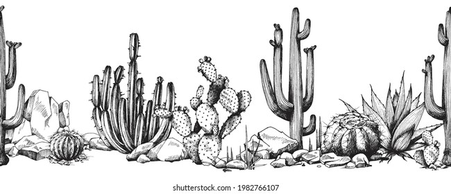 Hand drawn seamless border pattern with various succulent and cactus desert plants, engraving etched style vector illustration isolated on white background.