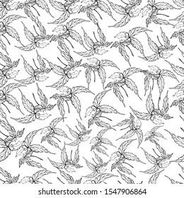 Hand drawn seamless coloring pages for children and adults. Flower bud Christmas star, decorative leaves with small details. Design for textile decor, wallpaper. stock graphics. Christmas, holidays