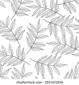 Hand Drawn Seamless Foliage Pattern. Cute background with black line leaves on white background.