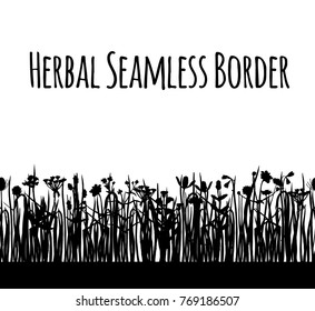 a hand drawn seamless grass herbal border; vector illustration; summer field or meadow silhouettes; flowers and herbs background