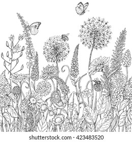 Hand drawn seamless line pattern with wildflowers and insects. Black and white doodle wild flowers, bees and butterflies for coloring. Floral elements for decoration. Vector sketch.