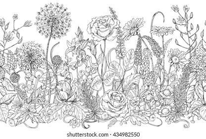 Hand drawn seamless line pattern with wildflowers. Black and white doodle wild flowers and grass for coloring. Monochrome floral elements for decoration. Vector sketch.